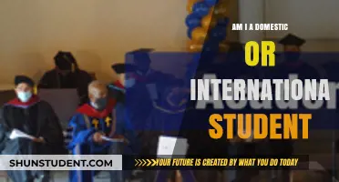 Understanding Your Student Status: Domestic or International?