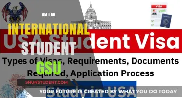 Understanding Your Status: GSU International Student Inquiry