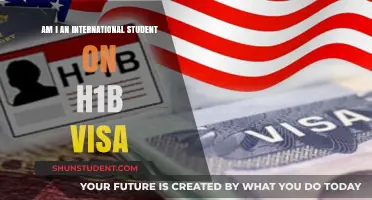 Navigating H1B Visas: Am I an International Student?