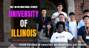 Understanding International Student Status at the University of Illinois