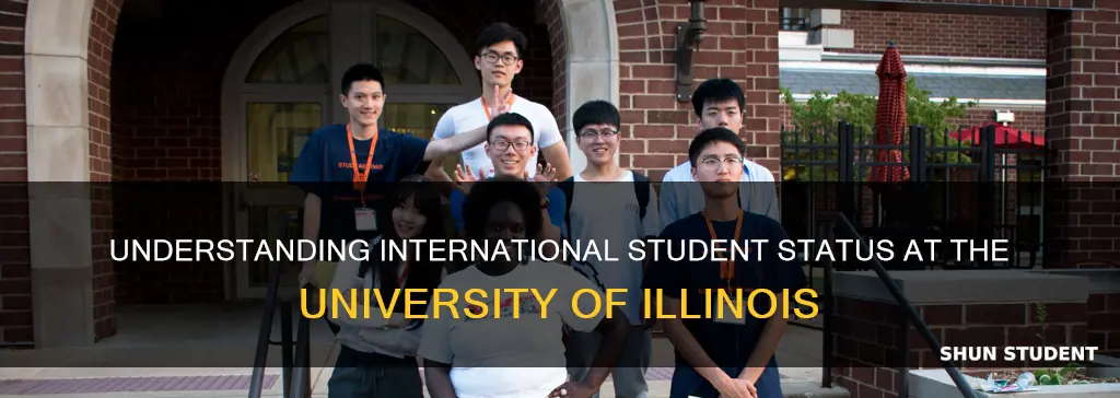 am i an international student university of illinois