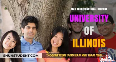 Understanding International Student Status at the University of Illinois