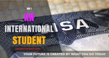 Understanding Your Status: Am I an International Student?