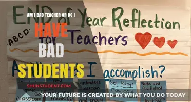 Reflecting on Teaching Challenges: Am I a Bad Teacher or Do I Have Bad Students?