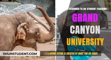 Student Teaching: Grand Canyon University's Requirements