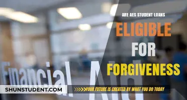 Can AES Student Loans Qualify for Loan Forgiveness Programs?