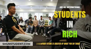 The Myth of Affluence: International Students' Realities