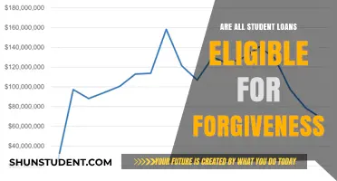 Student Loan Forgiveness: Which Loans Qualify and Key Eligibility Rules