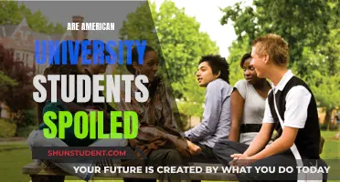 American University Students: Are They Spoiled or Entitled?