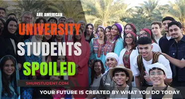 American University Students: Privileged or Spoiled?