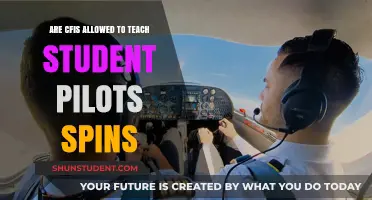 Can CFIs Teach Student Pilots Spins? Regulations and Safety Explained