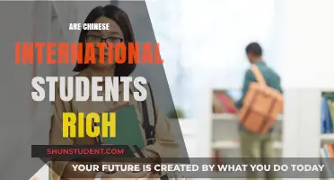 The Wealth of Chinese International Students