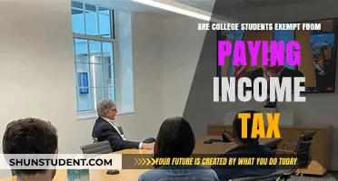 Understanding Tax Exemptions for College Students