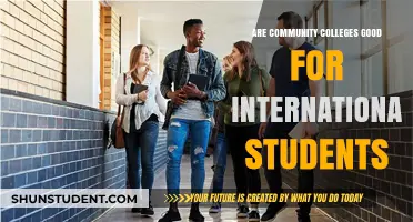 Community Colleges: A Smart Choice for International Students?