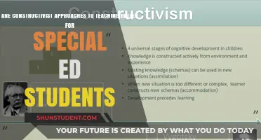 Constructivist Teaching: Enhancing Learning for Special Education Students?