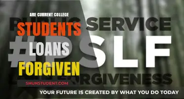 Are Current College Students Eligible for Loan Forgiveness?