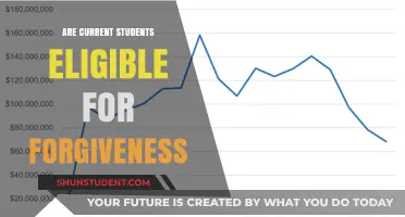 Student Loan Forgiveness: Eligibility for Current Students Explained