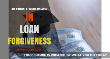 Are Current Students Eligible for Loan Forgiveness Programs?