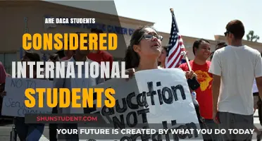 DACA Students: Are They International or Domestic?