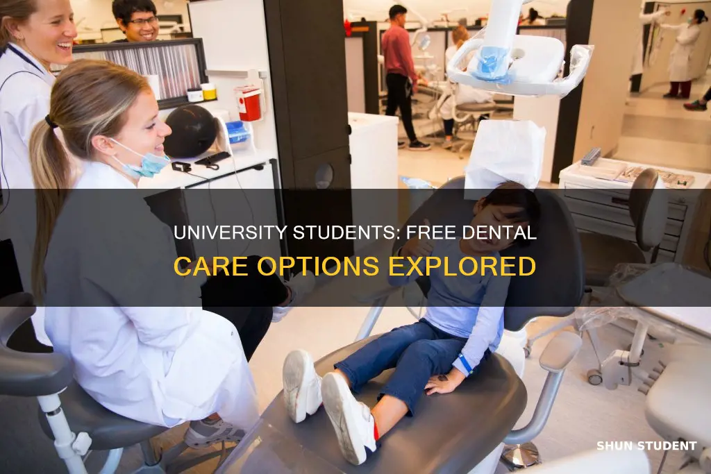 are dentists free for university students