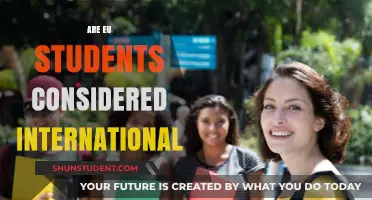 Understanding the EU Student's International Status