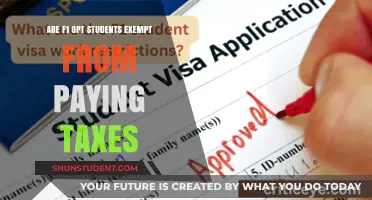 F1 OPT Students: Tax Exemptions and Filing Requirements