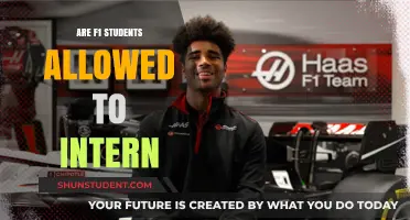F1 Students: Internship Opportunities and Restrictions