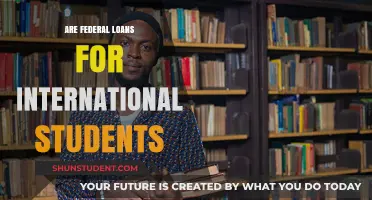 International Students: Federal Loans Availability