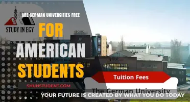 Free German Universities: An Option for Americans?