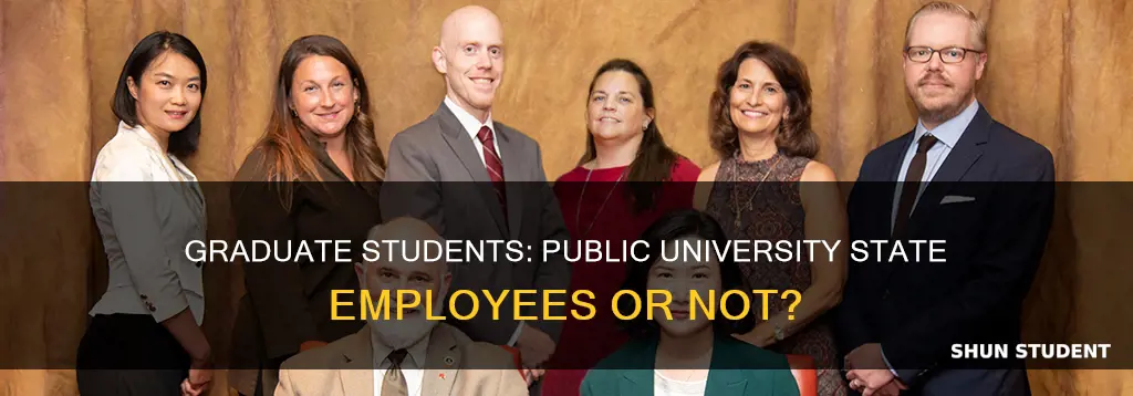 are graduate students at public universities state employees