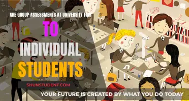 Group Assessments: Fair to University Students?