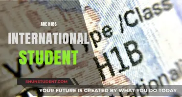 H1-Bs: International Students' Dream or Nightmare?