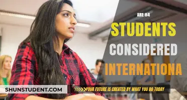 H4 Students: International or Not?