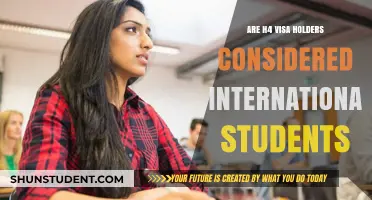 H4 Visa Holders: International Students or Not?