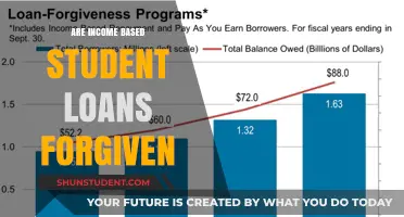 Income-Based Student Loans: Forgiveness Eligibility and What You Need to Know