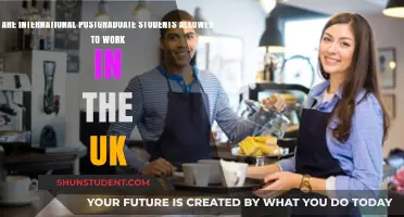 Postgrad Work Rights in the UK: International Students