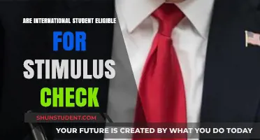 International Students: Stimulus Check Eligibility