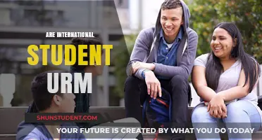 International Students: Are They URM?