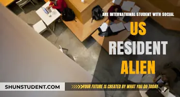 Social US Resident Alien: International Students' Identity Crisis