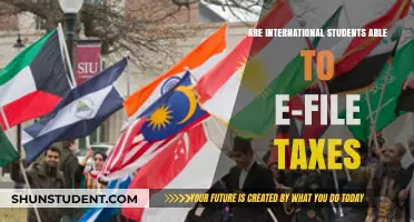 How International Students Can E-File Their Taxes