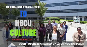 Adjusting to HBCU Culture: International Student Experience