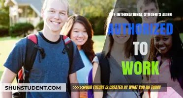 Work Rights for International Students: Are They Authorized?
