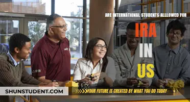 International Students: IRA Eligibility in the US