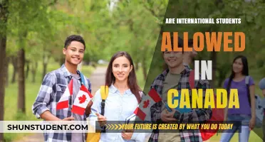 Canada Welcomes International Students: What's the Reality?