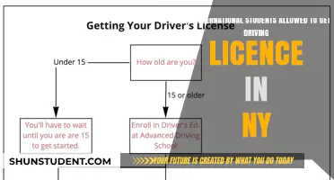 International Students: Driving Licenses in New York