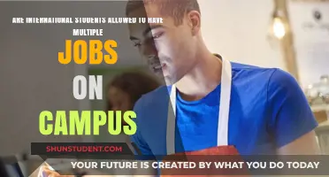 International Students: Multiple Campus Jobs?