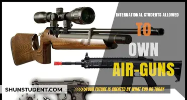 Air-Gun Ownership: International Students' Legal Rights