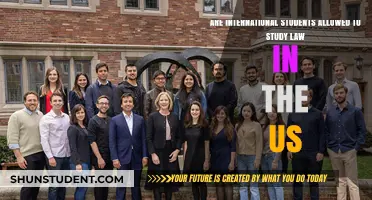 International Students: Can They Study Law in the US?