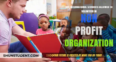Volunteering Options for International Students in Non-Profits