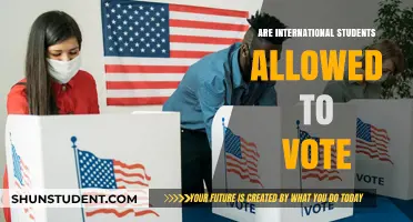 International Students: Can They Vote in Host Countries?